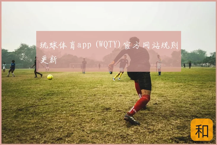 玩球体育app (WQTY)官方网站规则更新